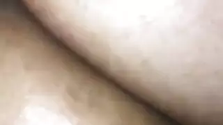 الحمار العربي