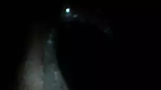 العربية مع