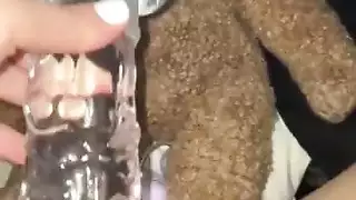 الغذاء في في سن المراهقة غريب الاستمناء لوس أنجلوسالولايات المتحدة الأمريكية غريب صنم تجميع