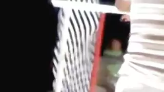العربية التونسية الحمار الكبير