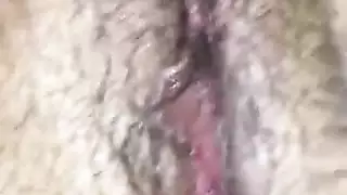 الحمار لطيفة من العراق