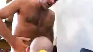 أربعة الدببة البني لعق كس