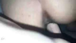 شجب العربي الخاضع