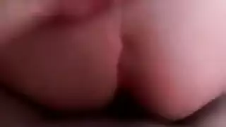 الشرج التركي