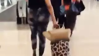 الحمار العربي الكبير في الشرق الأوسط