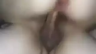 الديك التركي الكبير