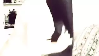 العربية المصرية الحمار الكبير