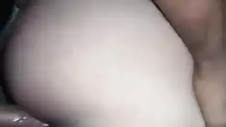 الحمار العربي الساخن فواك