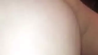 الحمار العربي