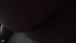 زوجة الحمار العربي العراق العصير