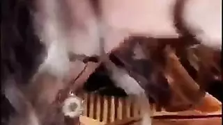 ملكة السناب التركية