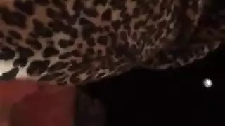 اللسان الحجاب التركي