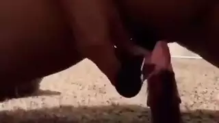 الجبهة العربية ارضاء نفسها مع لعبة