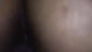 الحمار العربي سخيف