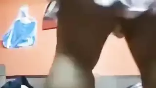 رقص عربي مصري اسكندري