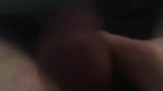 ديكي العربي