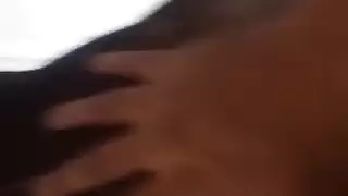 الشرج العربي في فرنسا